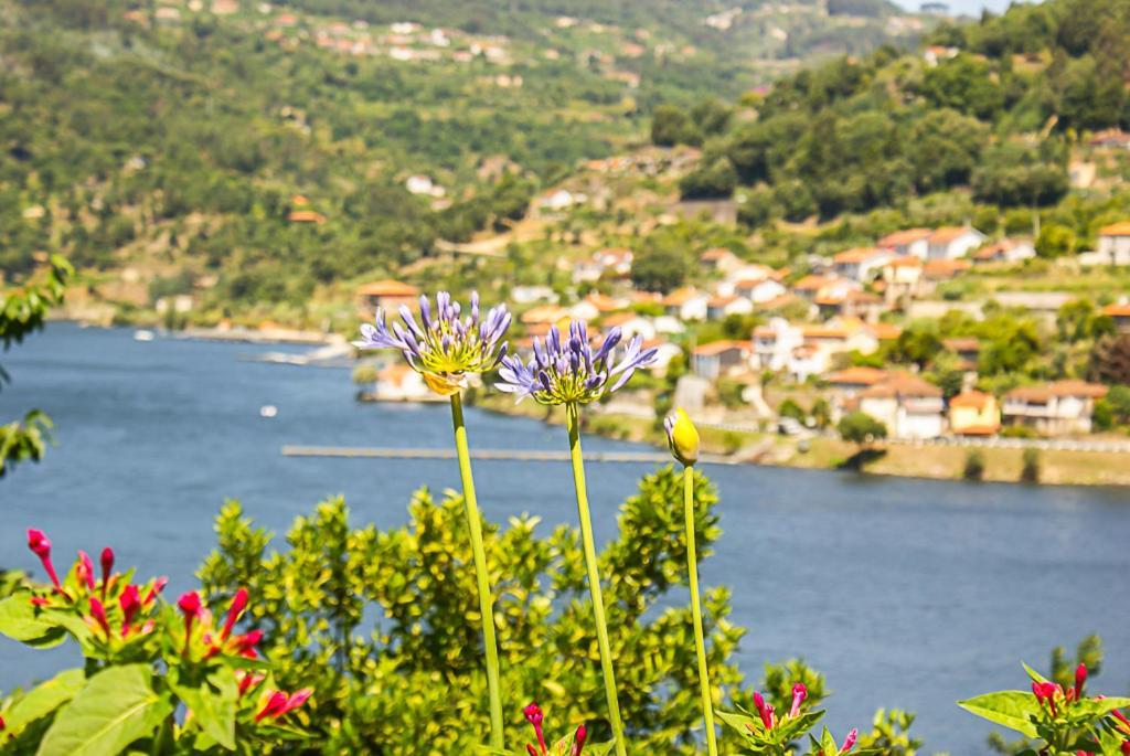 Casa Da Torre, Porto Manso Villa ฮิบาโดโร ภายนอก รูปภาพ