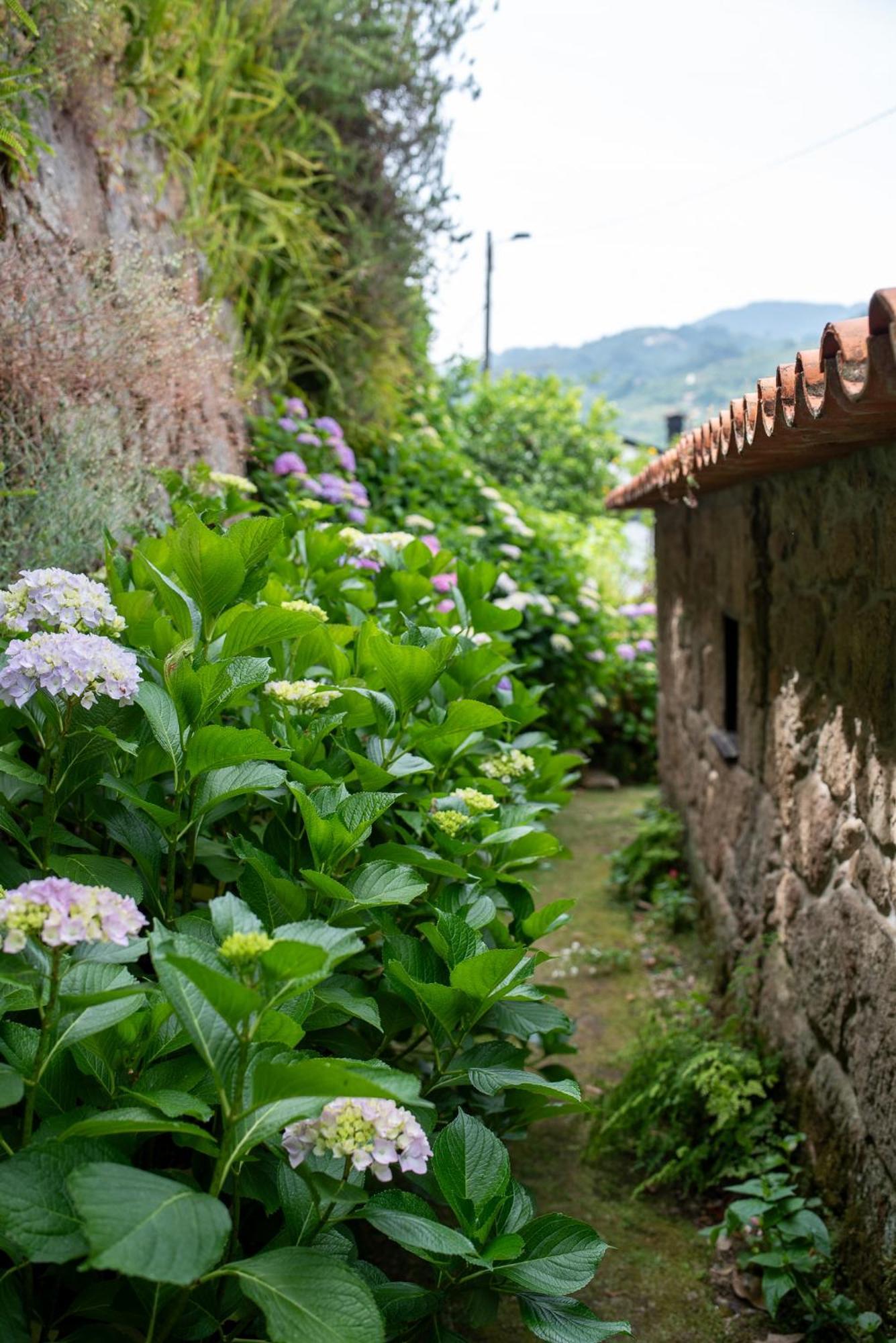 Casa Da Torre, Porto Manso Villa ฮิบาโดโร ภายนอก รูปภาพ