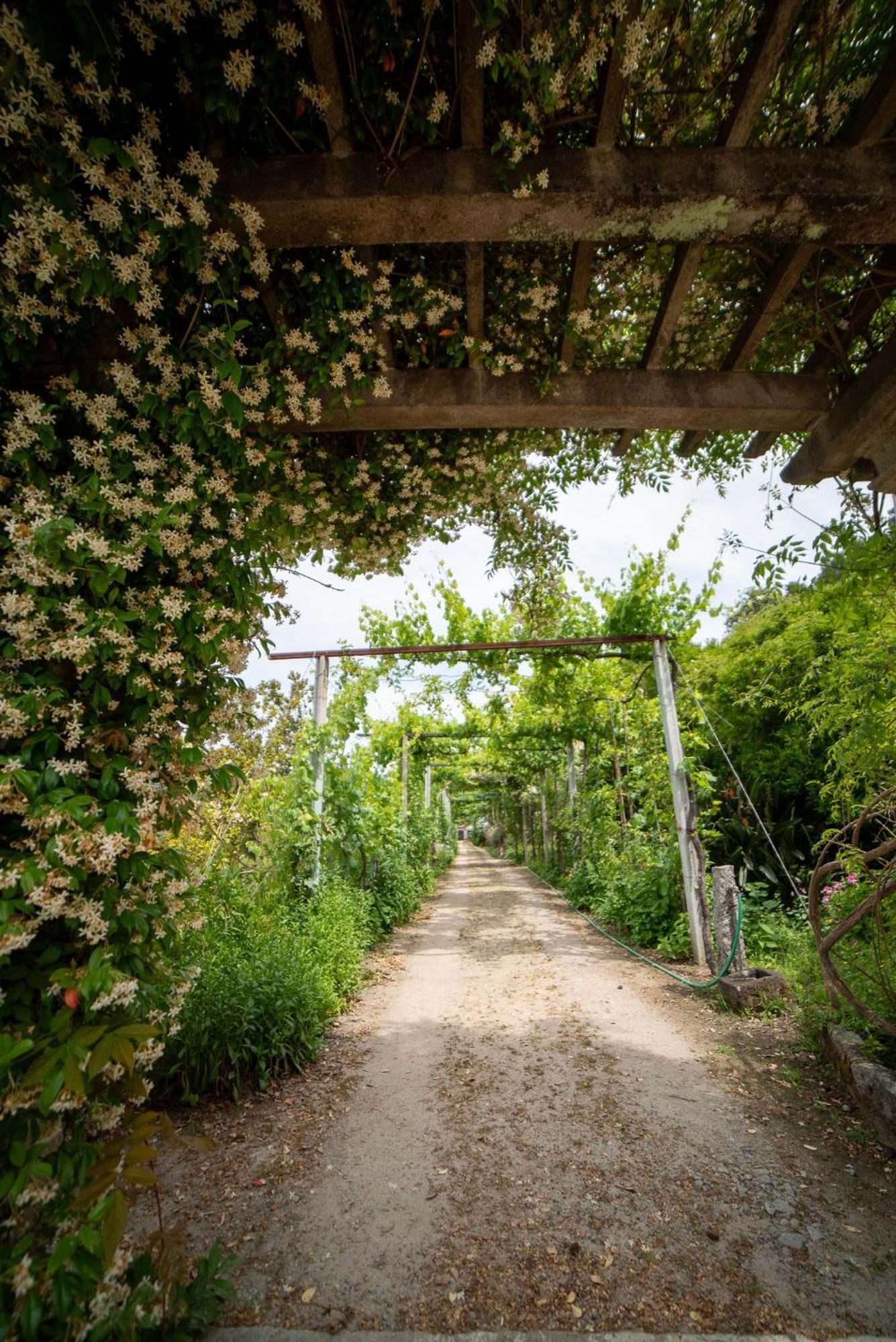 Casa Da Torre, Porto Manso Villa ฮิบาโดโร ภายนอก รูปภาพ